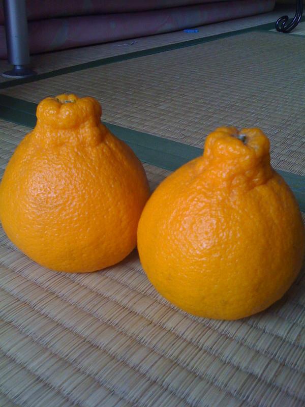 The Dekopon Citrus